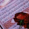 fatma05312