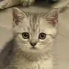 kikisfeeling