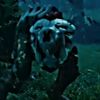 shrieker2288