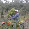 enningannengcammi