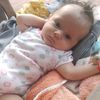 amidael83exd