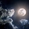moonligt243
