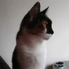 serdemordor
