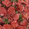 s_trawberrycake