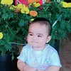 nguyen.ha.hai.trie