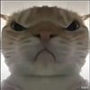 gtajan5