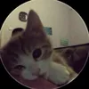 djrc._.k3107