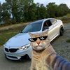 tiktokstar1234tiktok.com