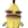 dyd6xogf5i1a