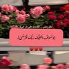 nafas59