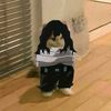 aizawa_sensei75