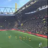 luca.zmrr