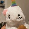 rainbowunicornsquirrel