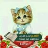 bothayna.samy