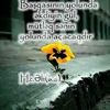 ismaylovzeyir313