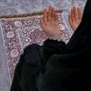 naef.alshbeb
