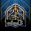 adamtamer201
