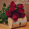 abuali4157