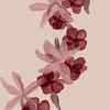 kooky_5770