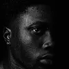 bee_black_official