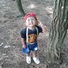 alief.al.fatih