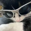 vr.vivih_fr
