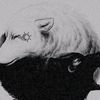 shadowwolf3546