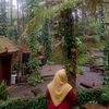 librarawr3