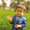 easa_omar