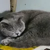 thanhnopro.1802