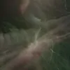 zyxwlk
