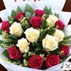 ranashafiq845