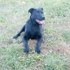 user1104024705155