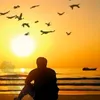 youali1r