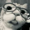 _almeidwss_