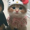 videos_alexxa