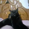 maelyrodrigues00
