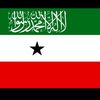 suleqa58
