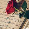 nourhan6558