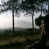 armanbayu242