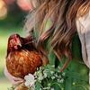 hanan_kh_m