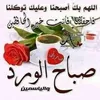 fatizahra5728