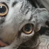 tuviejaentangadaaaa