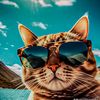 patito_tom1