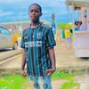 freezersarfo