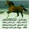 user403433130703787