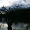 chico02881