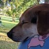 berties_human