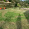Bùi  Đạt