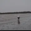 tolagianglinh